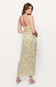 Hutch Beauden Dress