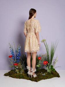 Sister Jane Sunrise Sequin Dress