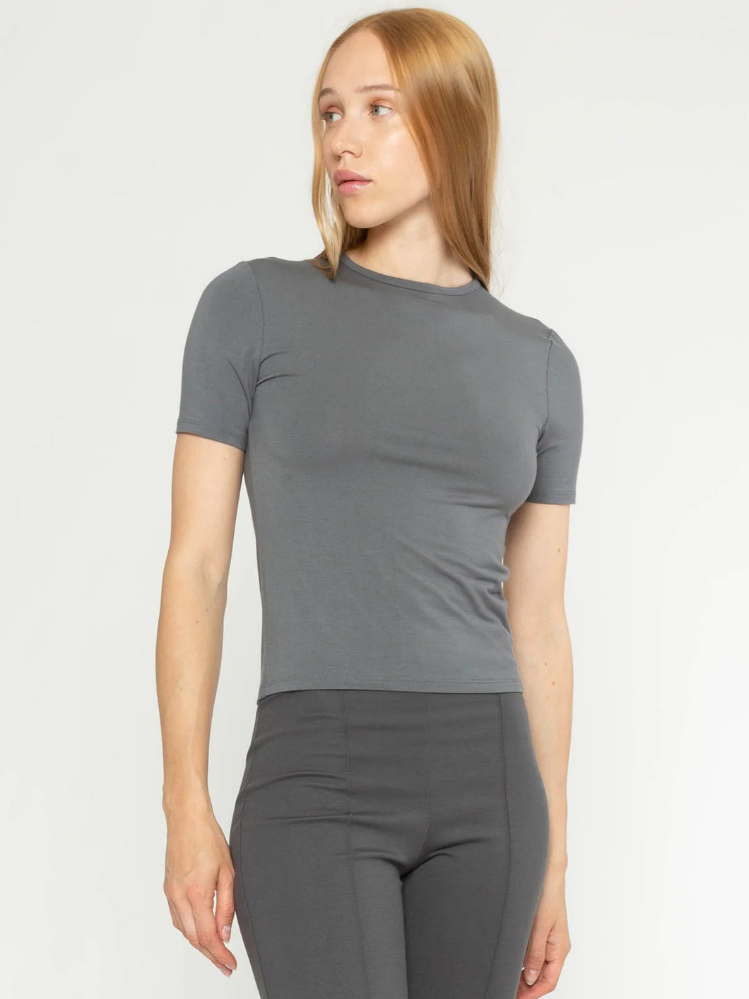 Ripley Rader Fitted T-Shirt - Slate